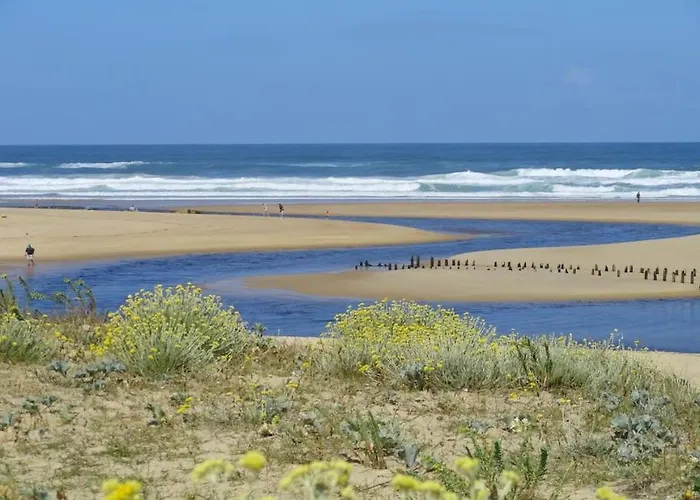 Appart 4 A 5 Pers Face Au Golf 700M De L\'Ocean